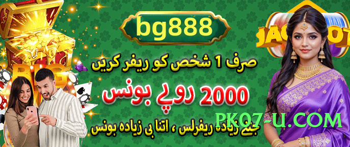 pkwin Lite v4.8.6 2025 Screenshot 2